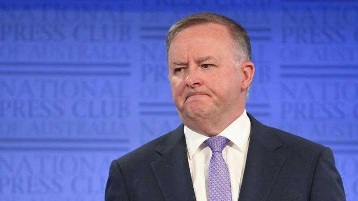 QED: Anthony Albanese