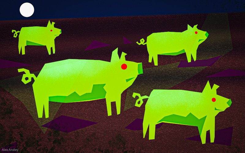 Illustration of zombie pigs