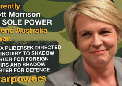 Tanya Plibersek on war powers reform