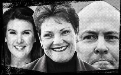 Pauline Hanson Buckles: billionaires beat Parliament again