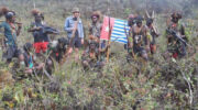 Organisasi Papua Merdeka