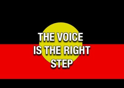 The Voice and the Noise