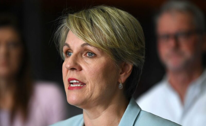 Environment Minister Tanya Plibersek speaks to the media in Brisbane, May 15, 2023. Image © Jono Searle / AAP Images