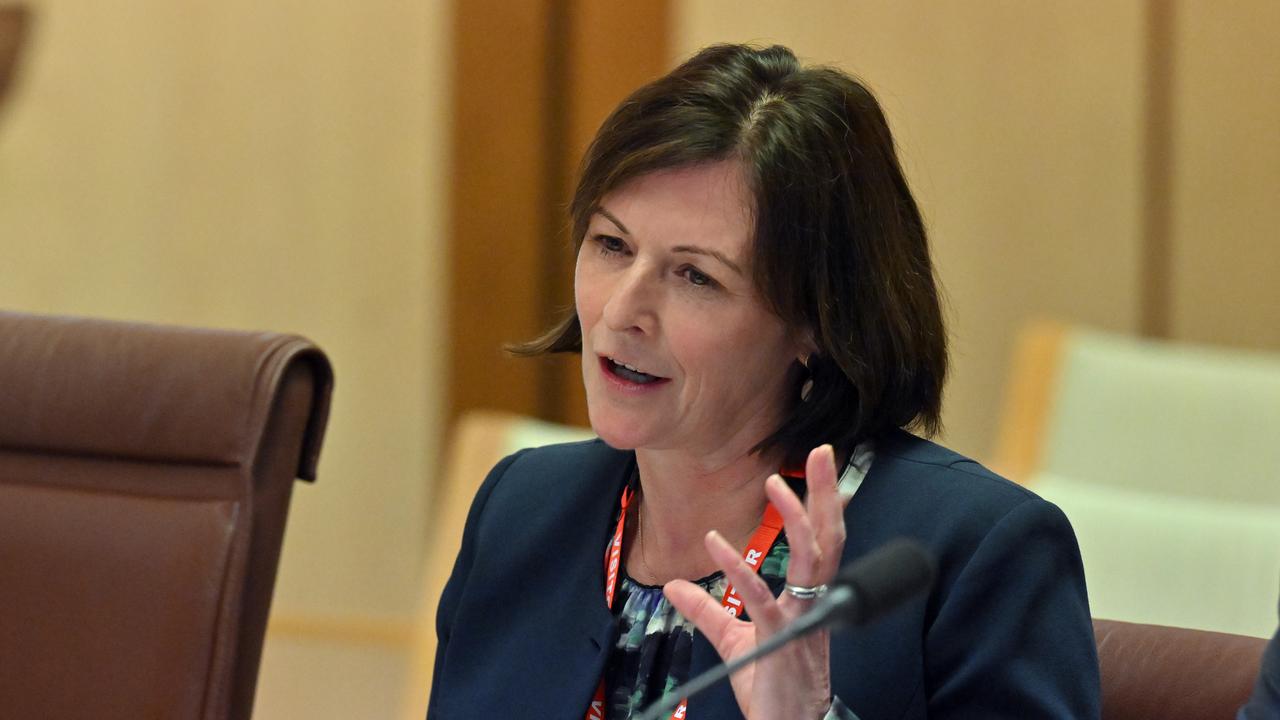 Woman speaking at senate hearing.