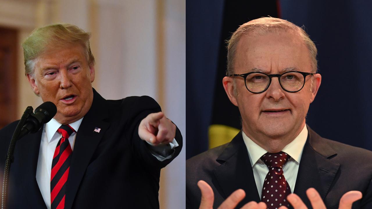 Trump/albanese 