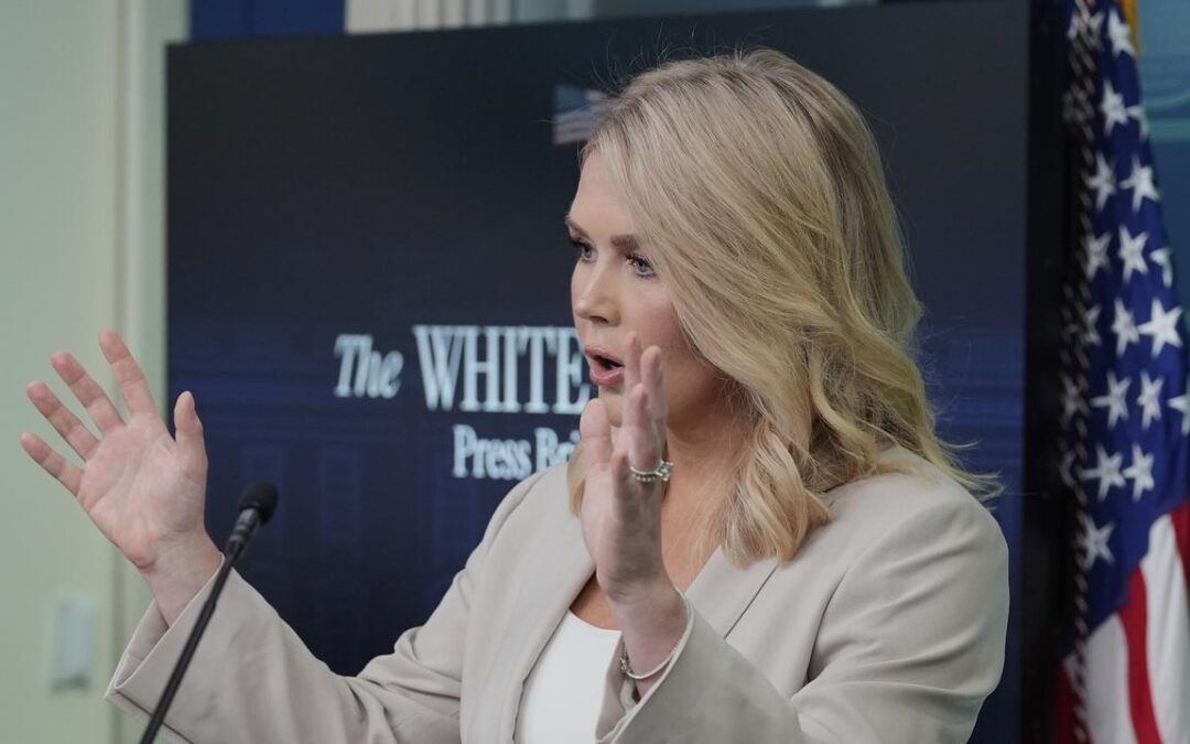White House shrugs off Musk-Navarro tariff tiff