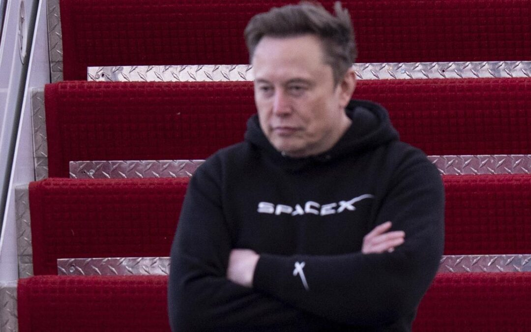 Tesla Q1 profit falls by 70 per cent amid Musk backlash