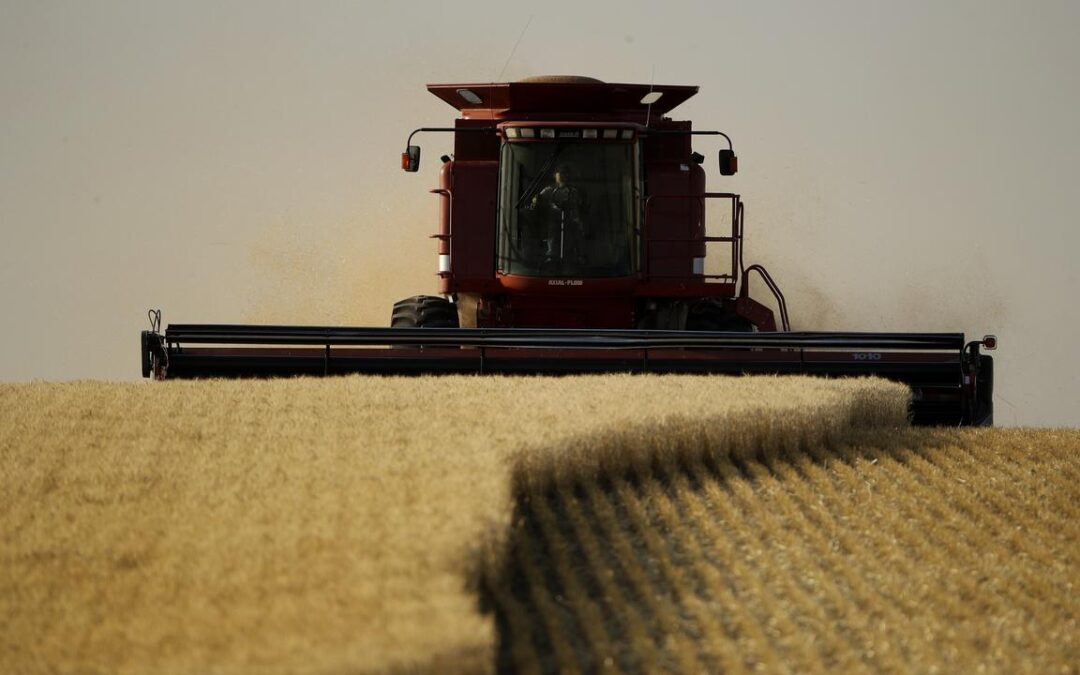 Indonesia to increase US imports and lower other orders