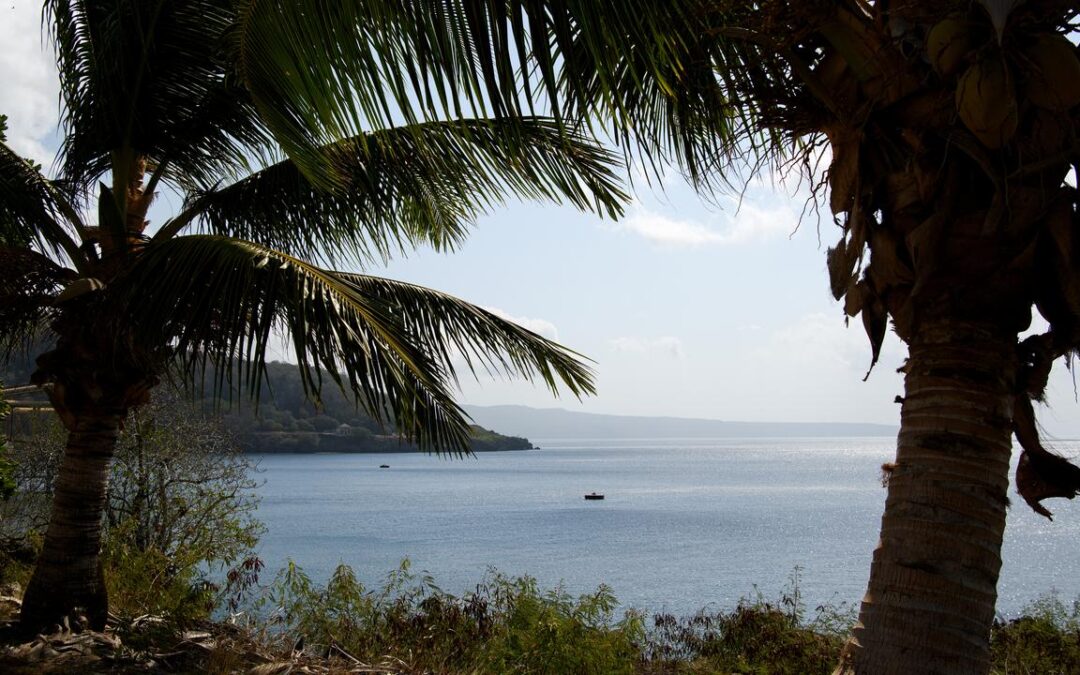 Deal to sink harmful fishing subsidies edges closer