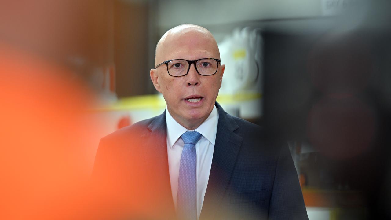 Opposition Leader Peter Dutton (file image)