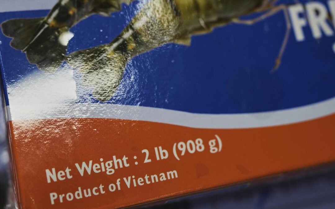 US, Vietnamese businesses ask Trump to delay tariffs