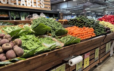 Full steam ahead for cash rate cut as inflation settles