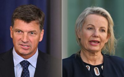 Tough ask ahead as Liberals gather to crown next leader