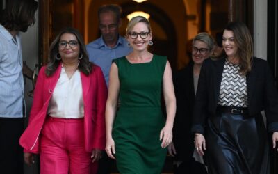 Leader gives Green light for return to key party issues