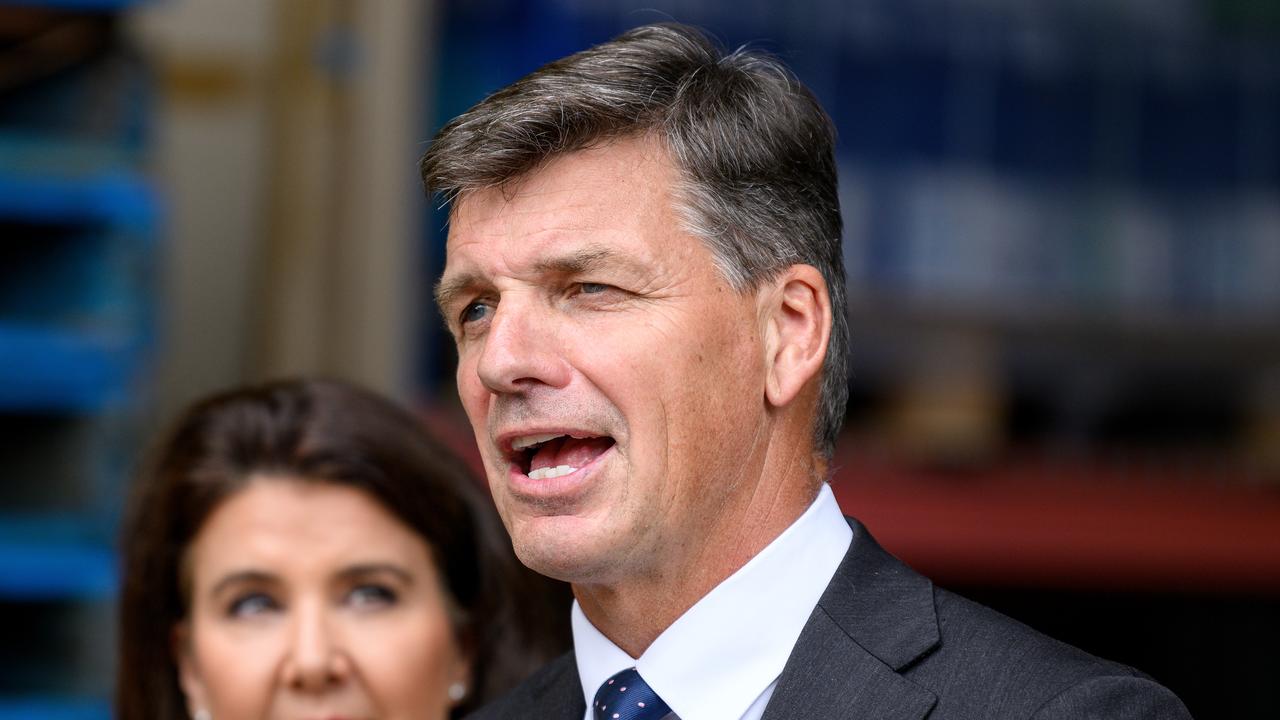 Shadow treasurer Angus Taylor