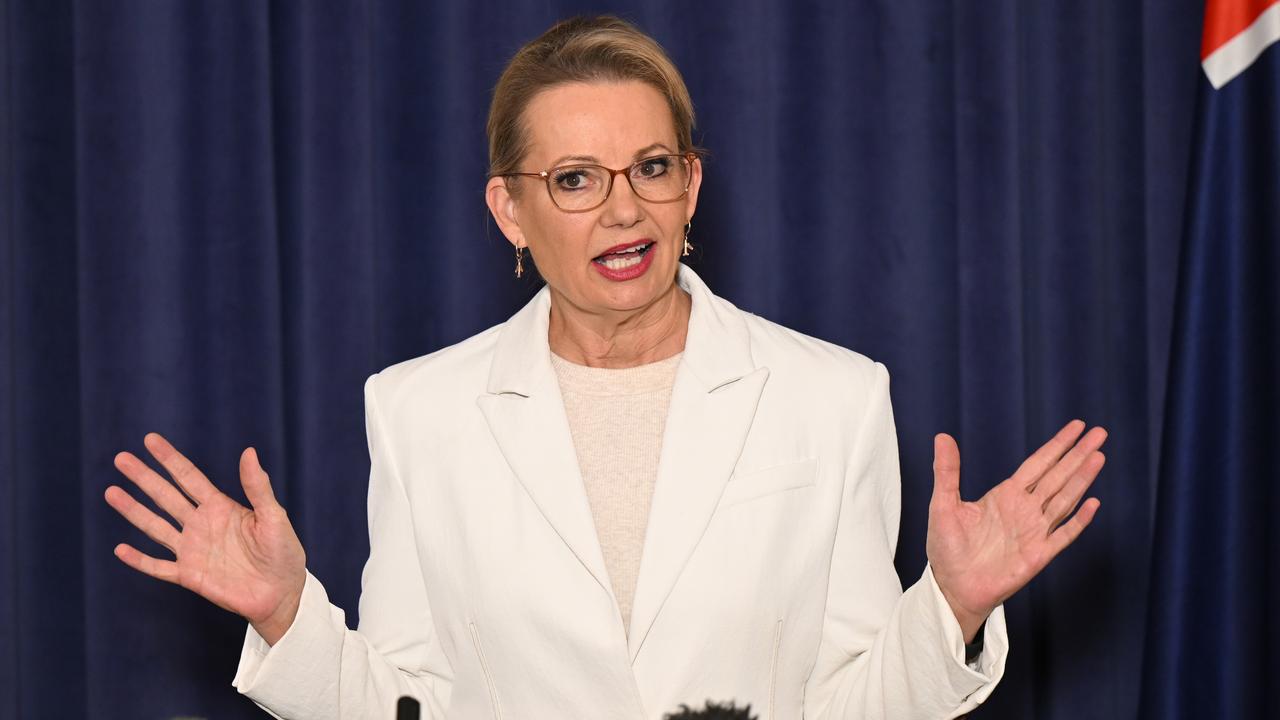 Liberal leader Sussan Ley (file image)