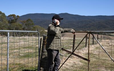 Telstra accused of beating around the bush on coverage
