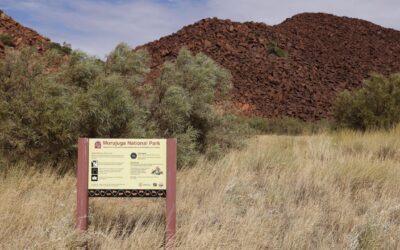 Protests heat up after mammoth gas expansion green-lit