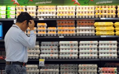 Egg, housing costs might fry hopes of earlier rate cut