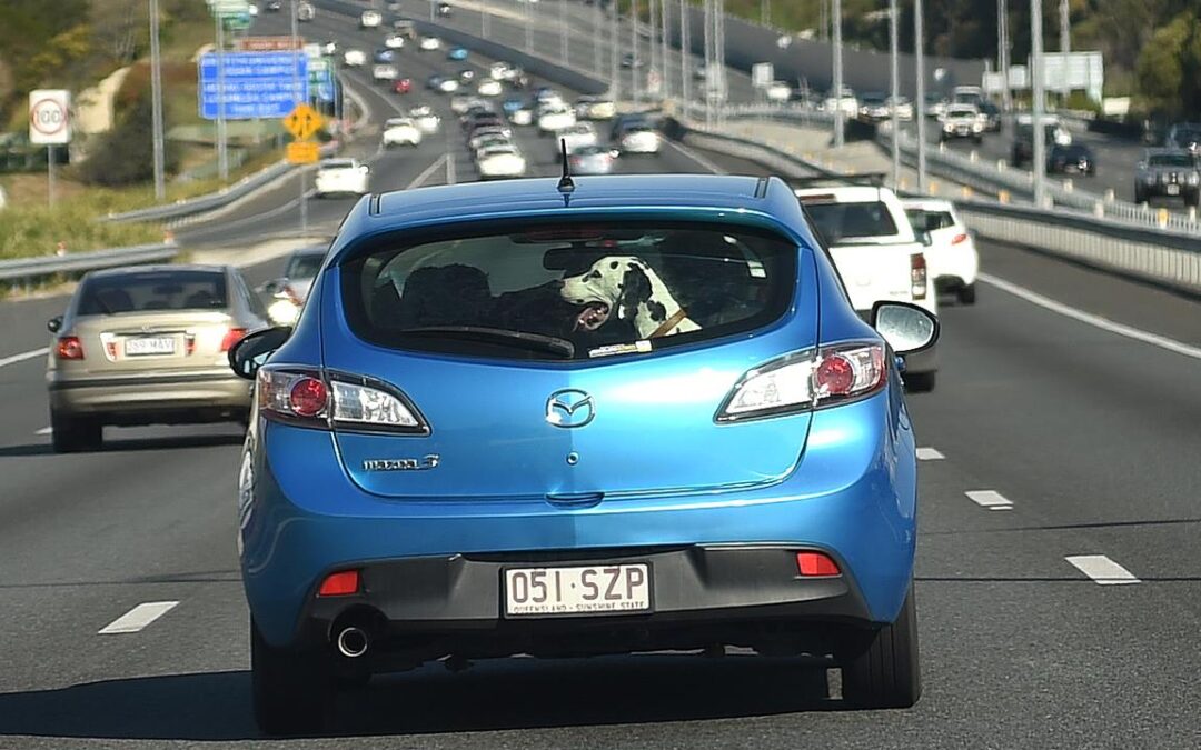 End of the road for freeze on car rego and other fees