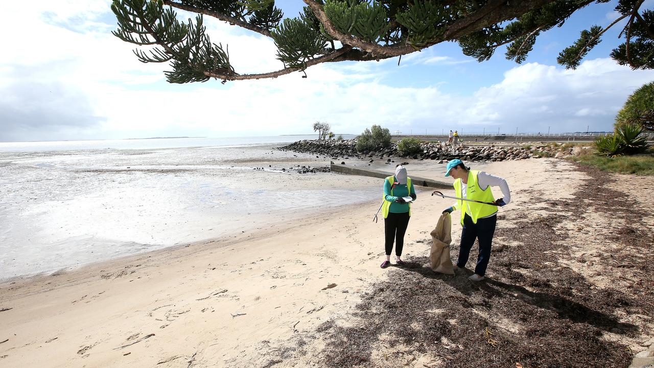 Volunteers picking up debris on a Brisbane beach