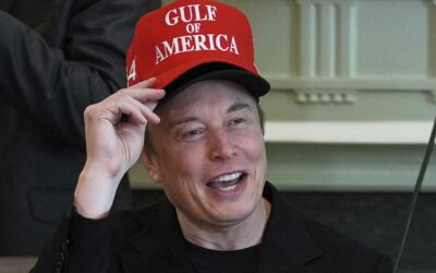 Tesla board looked for new CEO as Musk focused on Trump