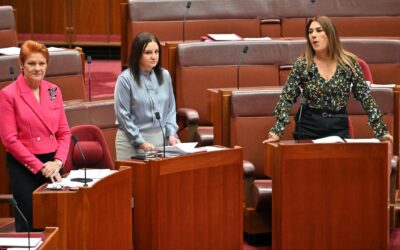 Cannabis or coal: shifting Senate a recipe for surprise
