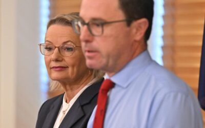 Climate policy up in the air as coalition makes up