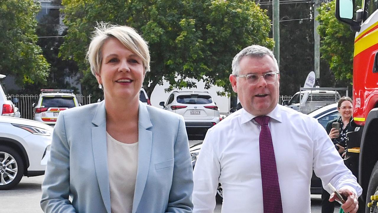 Tanya Plibersek andMurray Watt