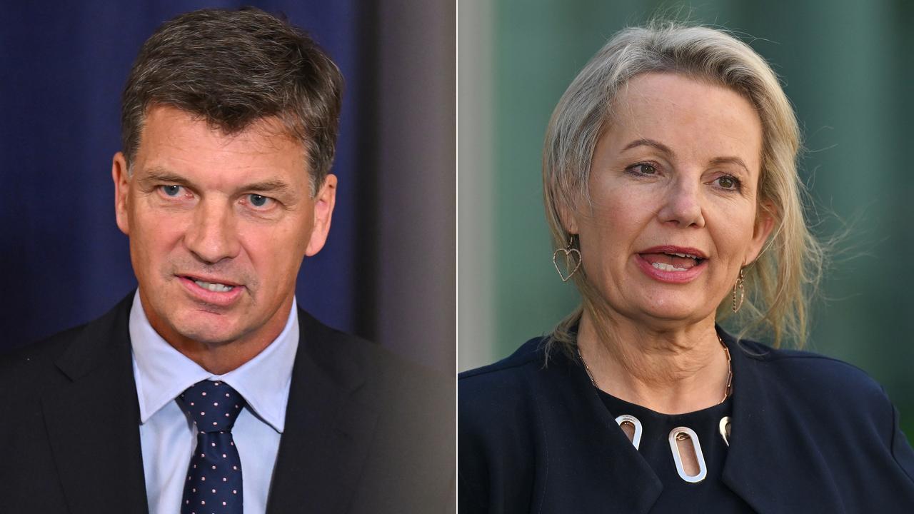 Angus Taylor and Sussan Ley