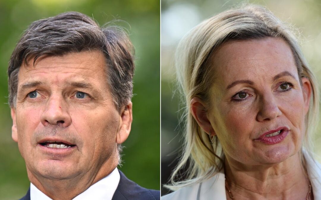 Liberals warned to ditch culture wars ahead of vote