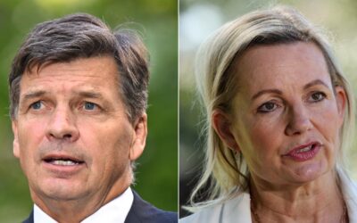 Liberals warned to ditch culture wars ahead of vote