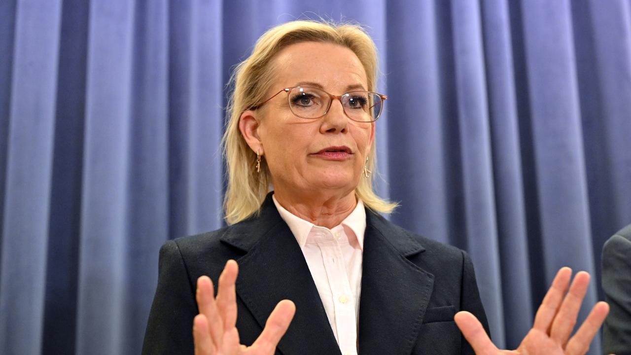 Liberal leader Sussan Ley