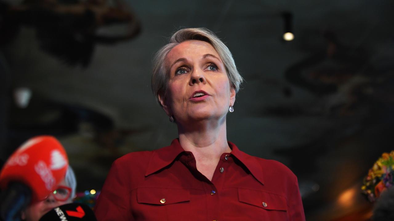 Tanya Plibersek (file image)