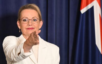 Coalition back, just in time for shadow ministry prizes