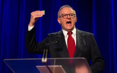 Straight back to hard Labor for Albanese after poll win