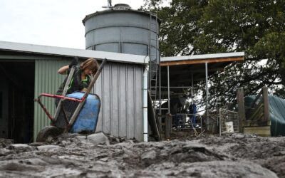 Rescues, unsafe homes on rise as flood crisis drags on