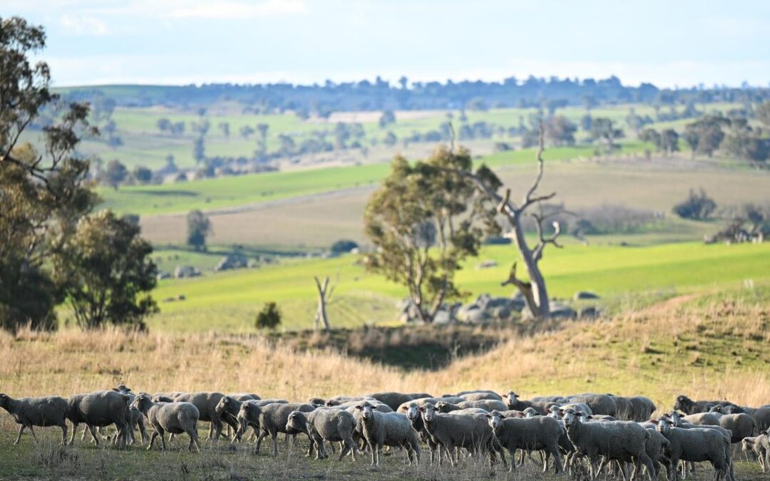 Australian farmland values just keep on growing