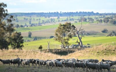 Australian farmland values just keep on growing