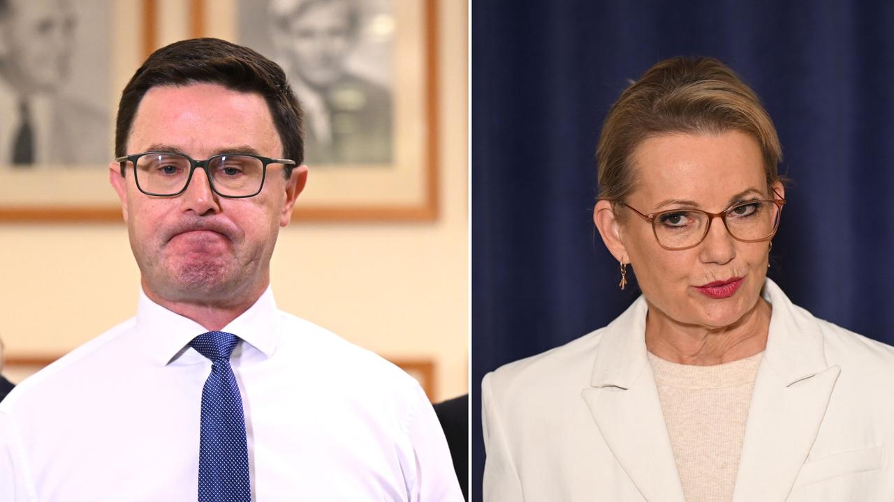 David Littleproud and Sussan Ley (file images)