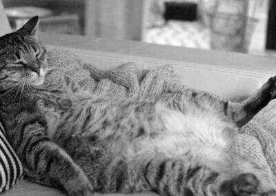 Fat cat salaries and the secretive Remuneration Tribunal