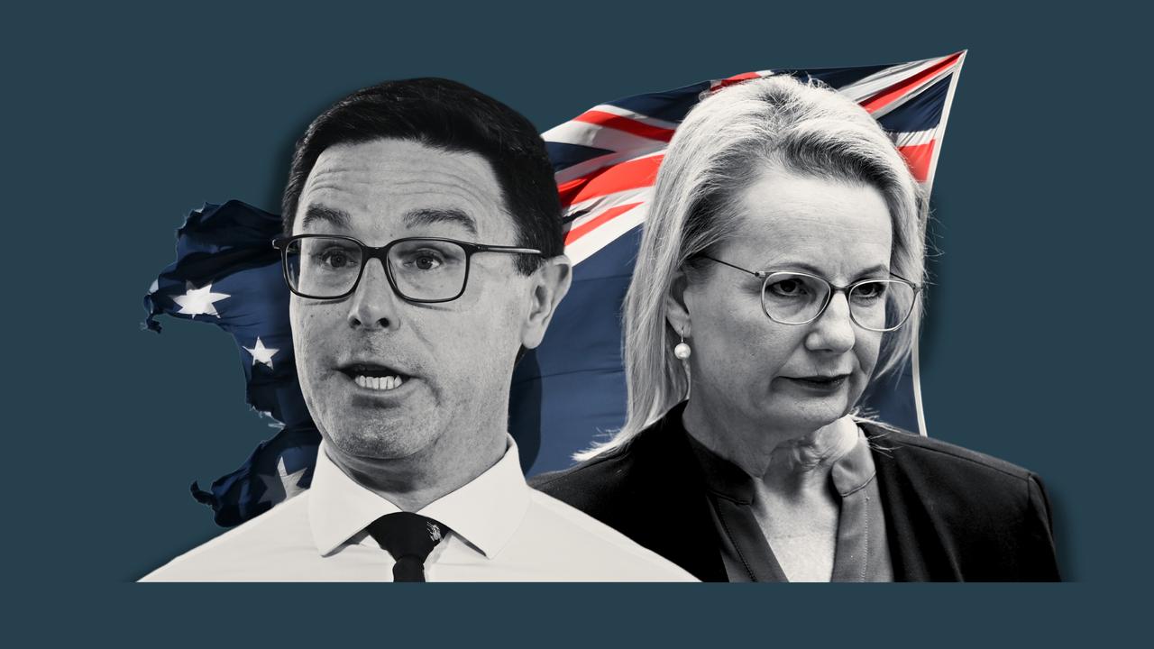 David Littleproud and Sussan Ley (file images)