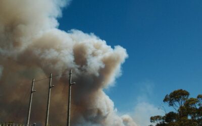 Australia’s take on Trump F-bomb aimed at Israel, Iran