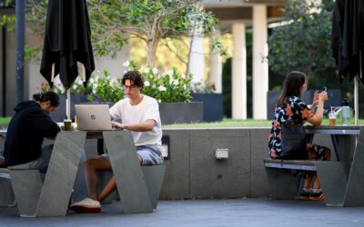 International students take notice as uni ranks tumble