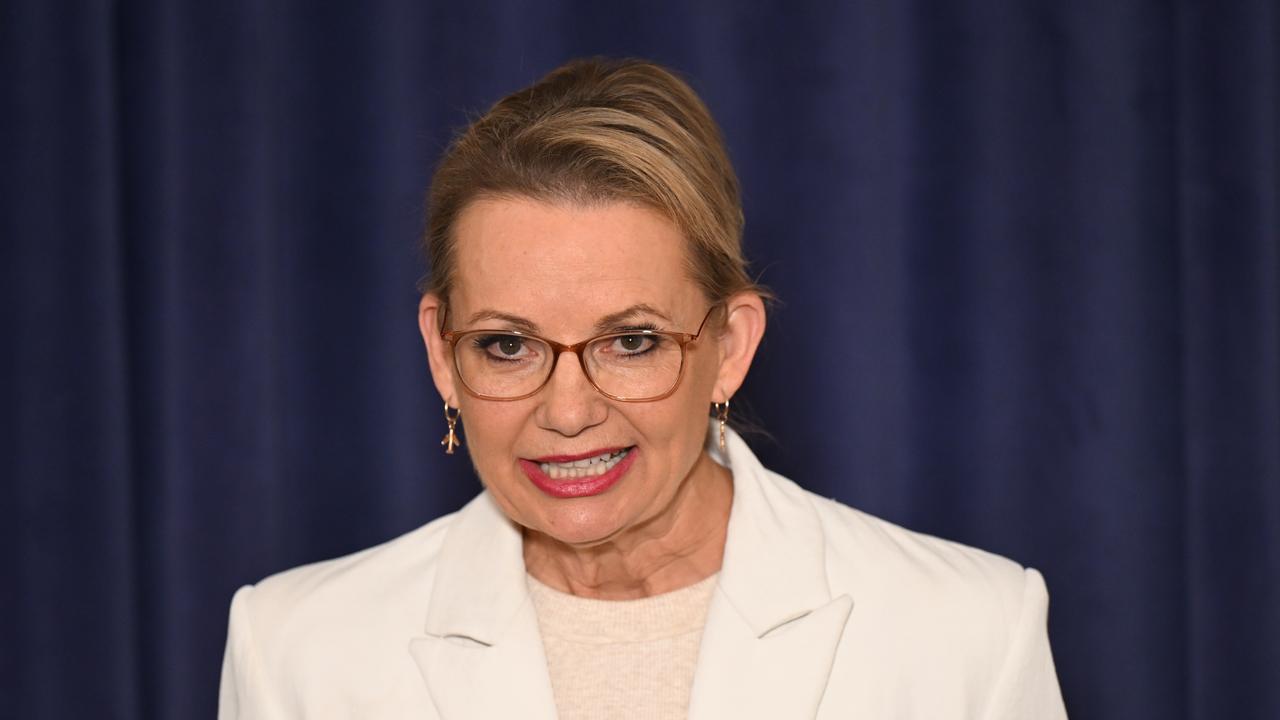 Opposition Leader Sussan Ley (file image)