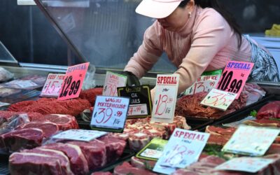 Biosecurity not competition a meaty issue in beef talks