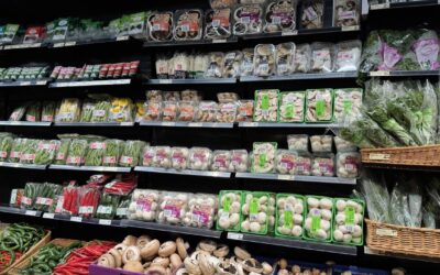 Pricier supermarkets sour on grocery cost survey