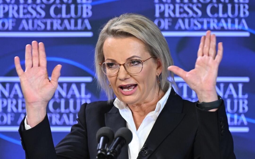 Liberal leader open to quotas after election drubbing