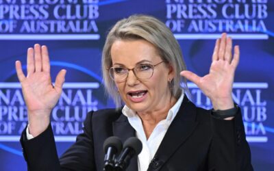 Liberal leader open to quotas after election drubbing