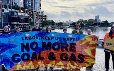 Woodside given more time to consider gas plant rules